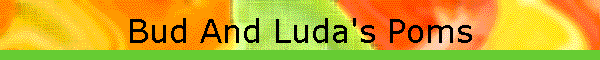 Bud And Luda's Poms